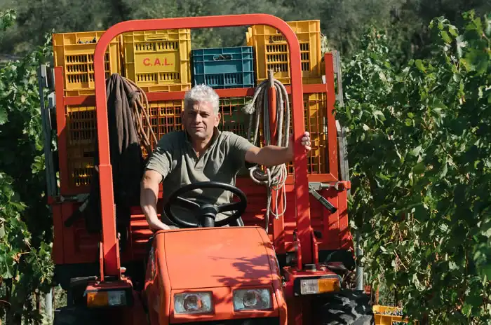 Azienda Agricola La Vigna