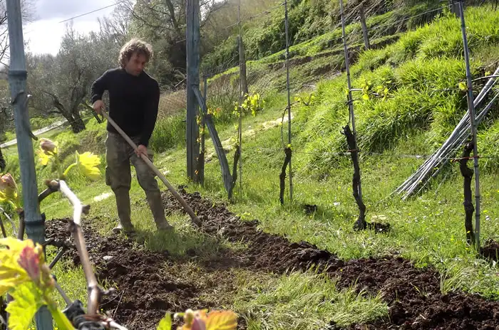 Azienda Agricola La Vigna